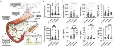 Relationship Between Endothelial and Angiogenesis Biomarkers Envisage Mortality in a Prospective Cohort of COVID-19 Patients Requiring Respiratory Support